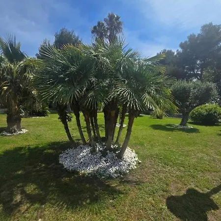 Charmant T1 Cap Raphael Au Port Santa Lucia Apartment